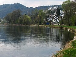 Limmat - Geroldswil IMG 6023